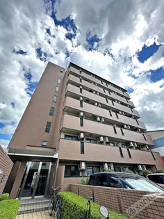 カデンツァKの画像