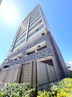 オリエンテムの画像