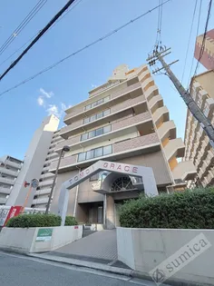 友井グレイスの画像