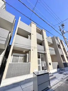 FELICE ROCCO SHOJIHIGASHIの画像