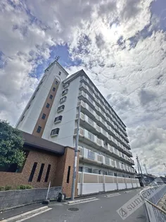 デュエリングナガトの画像