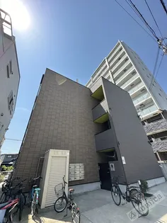 JANVIERの画像