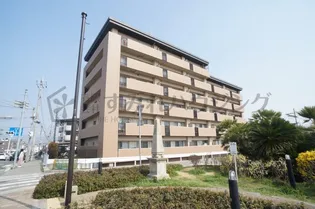 ビオラベールの画像