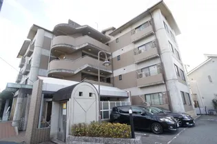 サザンハイムグルックの画像