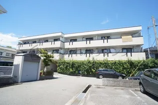 サンアベリアの画像