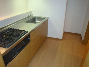 エーデル雲雀丘二番館【中部屋(205)号室】のキッチン