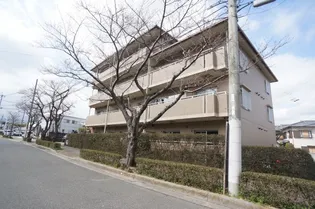 プリーマ巽の画像