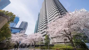 泉ガーデンレジデンスの画像