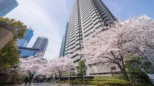 泉ガーデンレジデンス【306号室】の外観