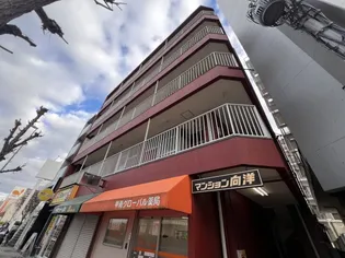 マンション向洋【2C号室】の外観