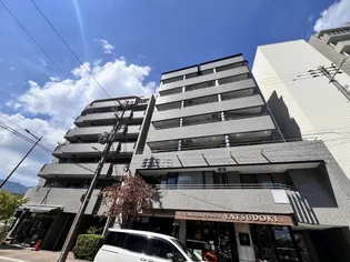 PACE MIKAGEの画像