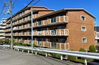 パールヒル清水が丘 【6階】の外観