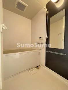 KDXレジデンス大濠ハーバービュータワー【13階】の風呂