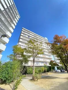UR今津浜パークタウン 12号棟の画像