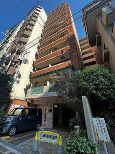 フジボストンの画像