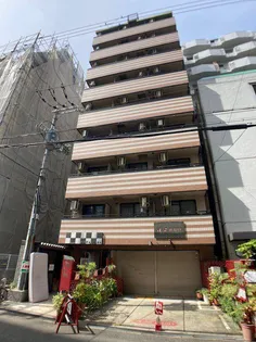 シングルウエストの画像