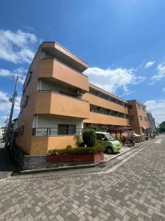 ビオラ並木台の画像