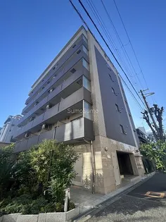 ノーサイド立葉の画像