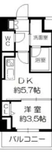セルン新町【5階】の間取り