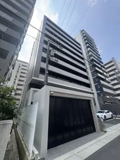 Dー1兵庫の画像