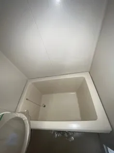 フォレストコート【1階】の風呂