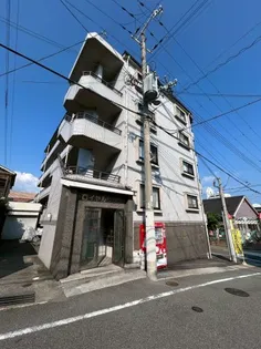 ロイヤルサクラの画像