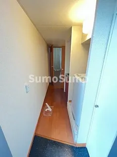 レオパレスSAKABE I【2階】の玄関