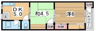 平野マンション【4階】の間取り