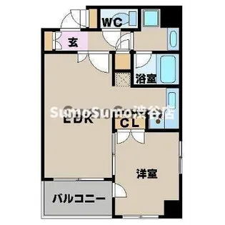 パレステュディオ渋谷STATIONFRONT【6階】の間取り