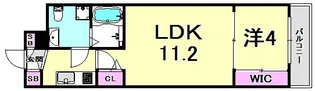 セレニテ甲子園II【5階】の間取り