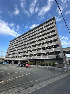 ジュネスドミール【8階】の外観