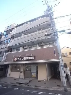 カーサニチエーの画像