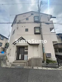 パールエッグクノキの画像