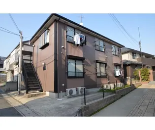 フローレンスヨウコ甲南の画像