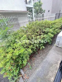 レオパレス西岡本【1階】のその他画像