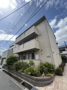 セレンディピティの画像