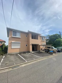 ペリウィンクルの画像