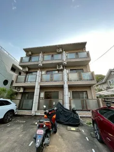 シエスタ平和の画像