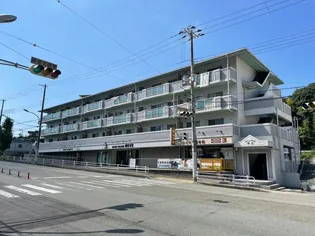 リバーパレス中西の画像