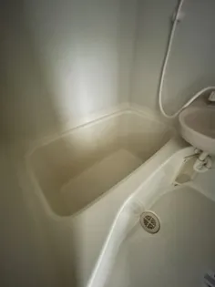 クレッシェンド岸地【1階】の風呂