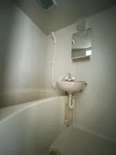 クレッシェンド岸地【1階】の風呂