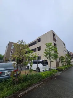 RANA COURTの画像