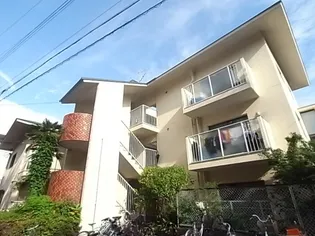 サンローレル仁川の画像