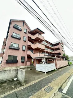 サンフラワー貴崎【4階】の外観