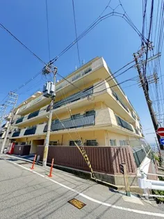 兵庫県神戸市灘区高尾通4丁目【マンション】の外観