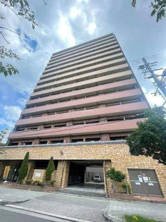 大阪府大阪市浪速区大国3丁目【マンション】の外観