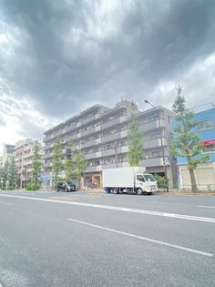 コスモリード学芸大学【5階】の外観