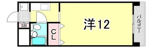 兵庫県西宮市甲子園九番町【アパート】の間取り