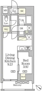 アジールコート松濤【4階】の間取り