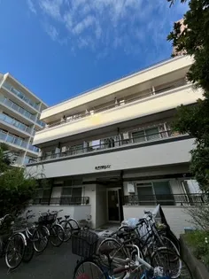 兵庫県西宮市甲子園七番町【アパート】の外観